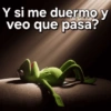 Y si me duermo y carols.zdig veo que pasa?
