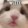 WLEEE