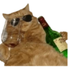 GATOS MICHIS MUY RANDOM 🐈😼🐈‍⬛ 12