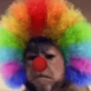 Macacos para chat 14