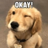 OKAY!
GOOD
BOY