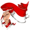 Hari Kemerdekaan Indonesia 🇲🇨 5