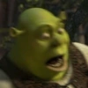 Shrek 💚 10
