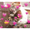 Me My uncon love and support You