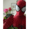 Homem aranha 7