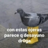 @froggyposting
con estas ojeras
parece q desayuno
droga