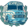 Selección Argentina mix 🇦🇷⚽ 14