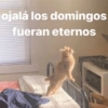 ojalá los domingos
fueran eternos
Wal