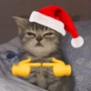 Gatitos cura Depresión🎄 6