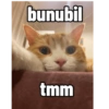 Pikaçu sarıgöt 17