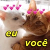 Cantadas clássicas 💖🫶🏼 5