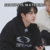 SCOUPS IS WATCHING
S
VANCED UTILITY
나도
GRA