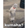 kumaha?