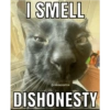 I SMELL @meowycattos DISHONESTY