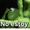 No estoy carols.zdim