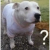 ?