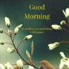 Good Morning be positive and good things will happen