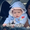 dih najis