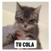 TU COLA