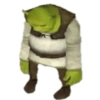 Shrek 💚 11