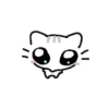 Gatito 😺 11