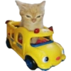 Kucing icon meme 6