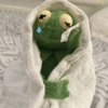 Ranita RENÉ! 🐸 7