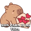 SON PARA TI MI VIDA
