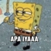 APA IYAAA
