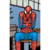Homem aranha 17