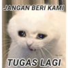 JANGAN BERI KAMI
dy.w
ww
TUGAS LAGI