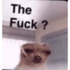 The Fuck?