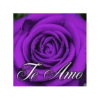 #NuAmor 17