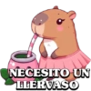 NECESITO UN LLERVASO