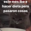este mes iba a
hacer dieta pero
pasaron cosas
B
@memasting