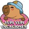 YUPI YUPI VACACIONES