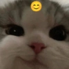 १)