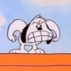 Snoopy 13
