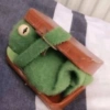Ranita RENÉ! 🐸 14