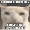 BRO LOOK ME IN THE EYES AND SAY THAT STUPID SHIT AGAIN