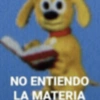 NO ENTIENDO LA MATERIA
