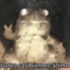 Lunes casi Viernes, ánimo
