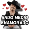 ANDO MEDIO ENAMORADO