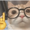 Kucing 25