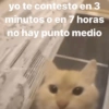 yo te contesto en 3
minutos o en 7 horas
no hay punto medio
@memasting