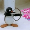 PINGU 14