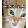 Frases variadas  25
