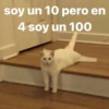 soy un 10 pero en
4 soy un 100