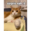 Pikaçu sarıgöt 10