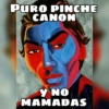 Tontos tontos todos 12